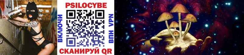 Купить закладки  Бокситогорск  Галлюциногенные грибы Cubensis 